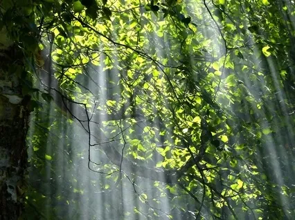 Positive Mantra Meditation - I Am Capable