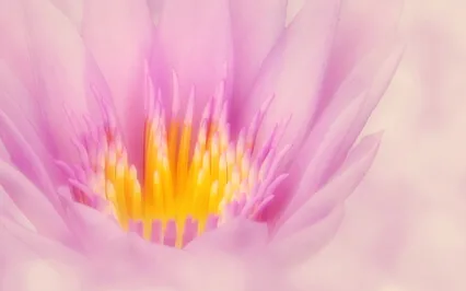 Positive Meditation Music @432Hz