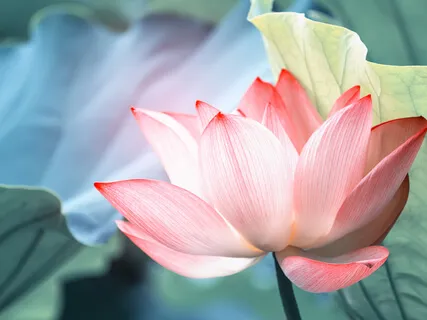 Positive Mental Mantra Meditation & Exercise