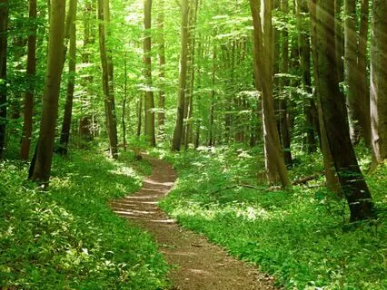 Positive Morning Affirmations - Peace & Presence