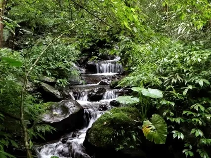 Positive Morning Flow