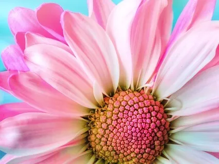 Positive Morning Manifestation