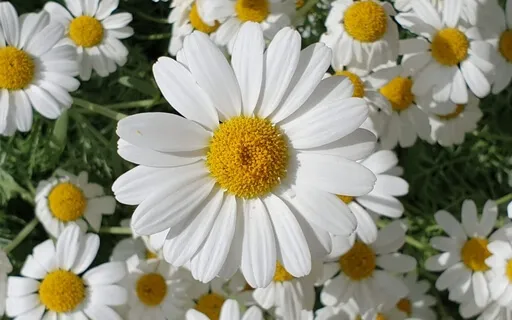 Positive Morning Meditation