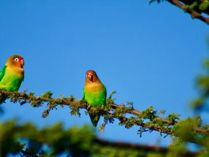 Positive Morning Prayer