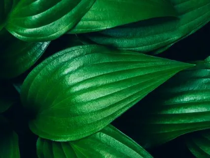 Positive Post Workout Meditation: Set Intention For Your Day