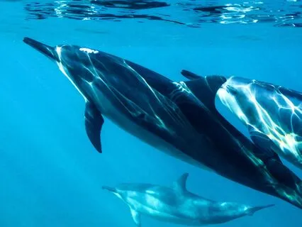 Positive Self-Empowerment Anthem