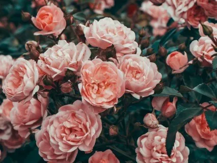 Positive Self-Love Affirmations