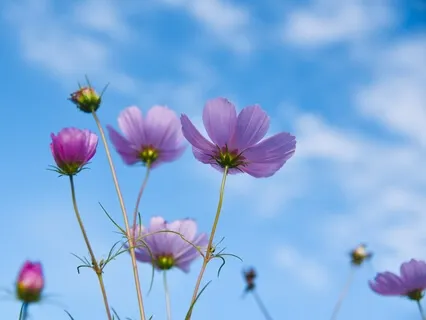 Positive Sounds Of Love