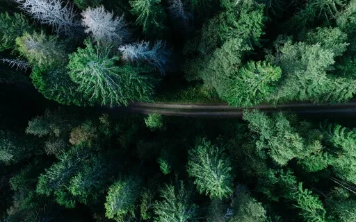 Positive Thinking & Motivation Through Affirmations