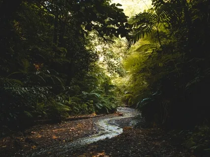 Positive Thoughts For Deep Relaxing Sleep