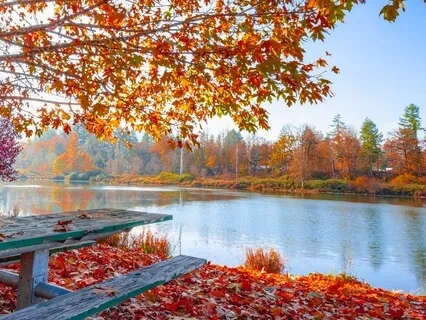 Positive Transformation - 528Hz Healing Music