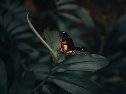 Positive Affirmations For Positive Transformation