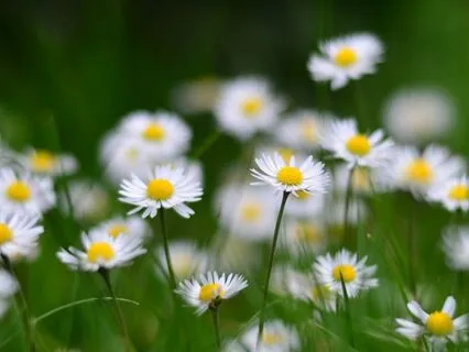 Positive "You Are" Affirmations