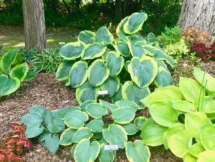 Positivity For Every Season - Optimism & Hopefulness