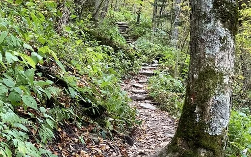 Positivity Meditation