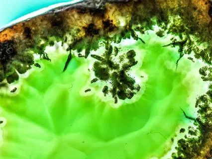 Positivity On Your Chakras