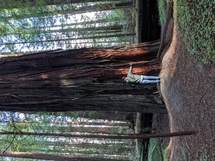 Positivity Training -  A Few Things To Smile About