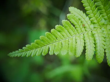 Embrace Possibility And Hope