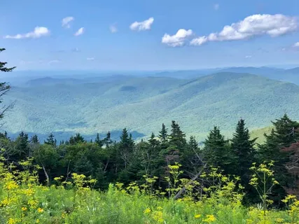 Post-Meditation: Ultra Slow, Mindful Movements