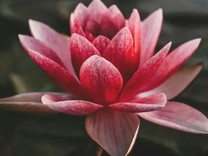 Post Surgery: Sound Healing Meditation