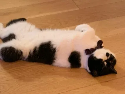 Post-Work Gentle Yoga 1