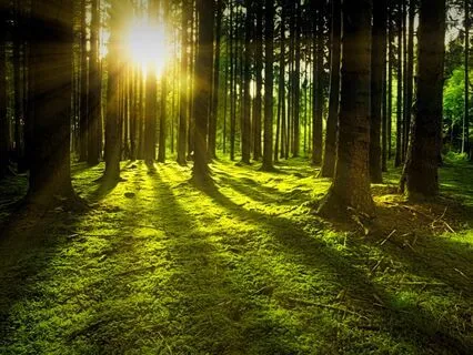 Breathwork To Bridge Yoga And Meditation