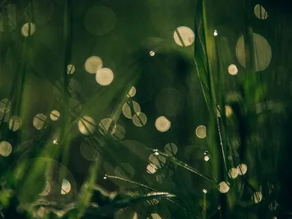 Postive Effects Of COVID