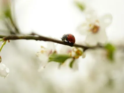 Posture-Based Concentration