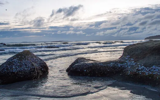 Posture Meditation For Mind-Body Connection