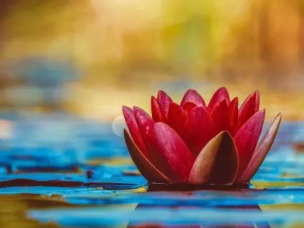 Potent Pause (5 Minutes)