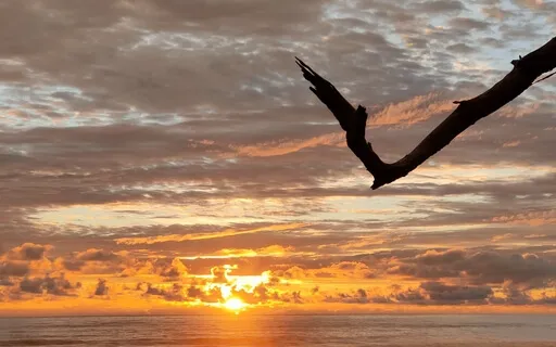 Power Codes Activation Meditation