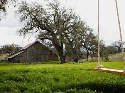 Power Eclipse Season Affirmations Inner Peace & Growth