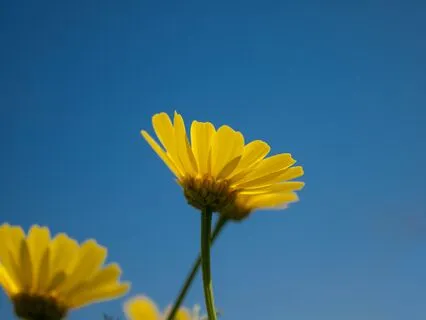 Power Nap For Clarity With Blue Sky Visualization