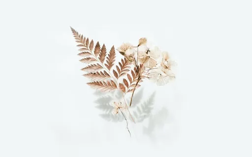 Power Nap For The Focus Through The Day Ahead