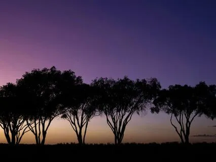 Power Nap: Mini Yoga Nidra