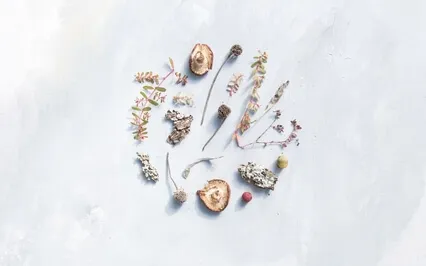 Power Nap On The Amazing Ocean For Your Deep Relaxation