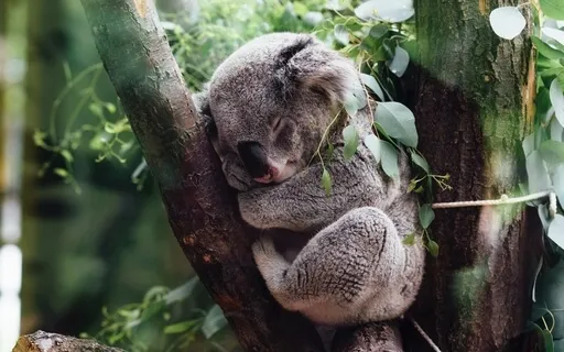 Power Nap | Relaxing Music For Rest And Rejuvenation