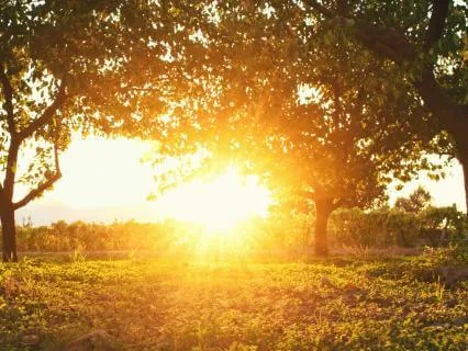 Power Nap To Release & Recharge