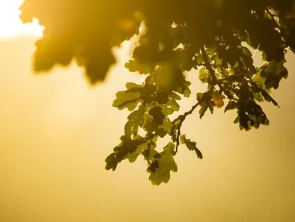 Power Nap To Rest & Reset With Visualization