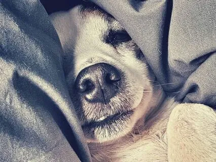 Power Naps With June B - 30 Minute Nap