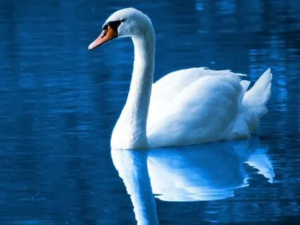 Power Naps With JuneB - 60 Minute Nap