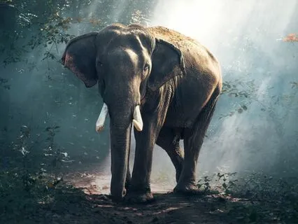 Power Naps With JuneB - 90 Minute Nap