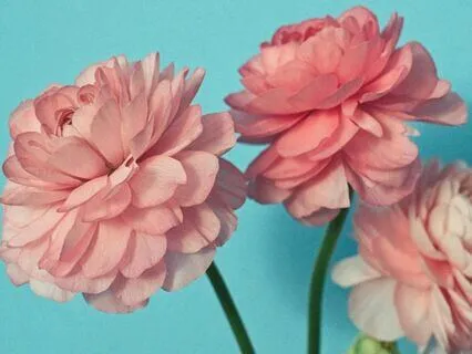 Power Of 3: Mindset Shift Method