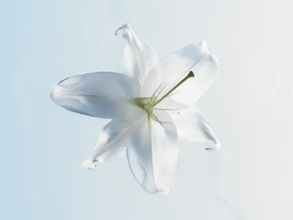 Power Of Happiness For Your Day Ahead