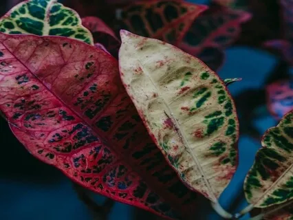 Power Of Light - 528Hz