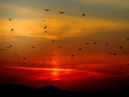 Power Of Meditation - 528Hz