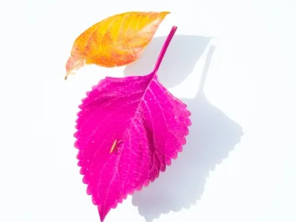 Power Of Mindset Helps You To Be Present And Motivated