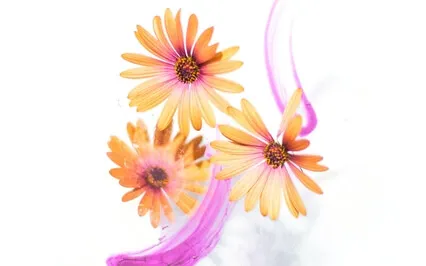 Power Of Positivity For Your Mind And Body 