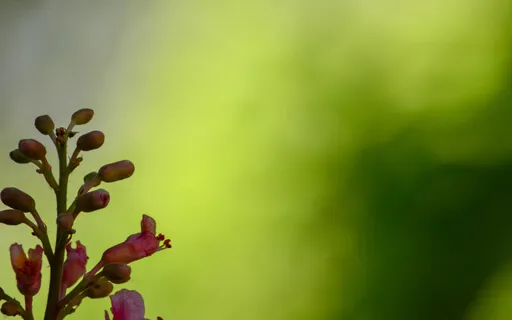 Power Of Prayer - Affirming Your Absolute Oneness With God