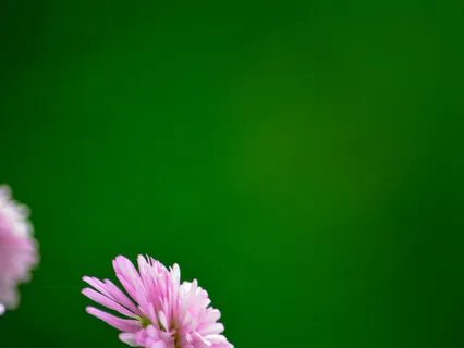 Power Of Prayer - Holding Ukraine In Peace